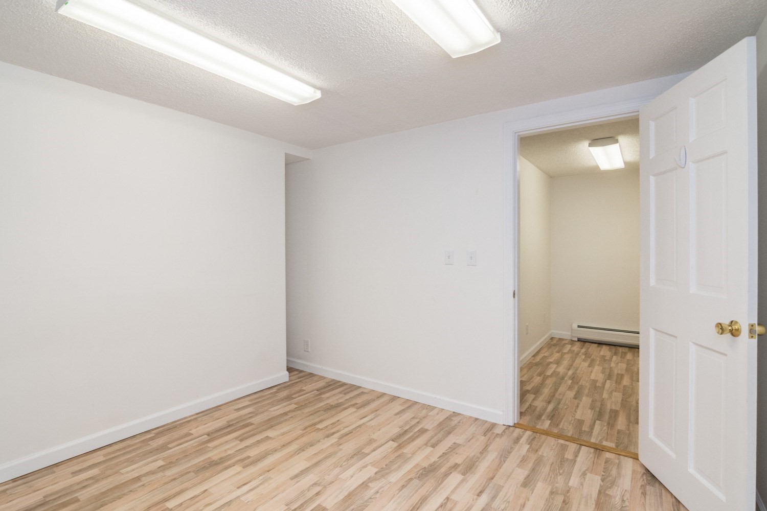 56 Warner St Property Photo 19
