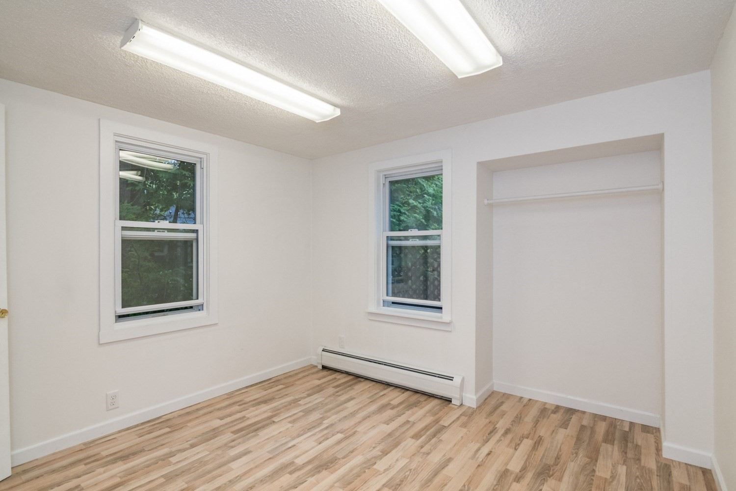 56 Warner St Property Photo 21