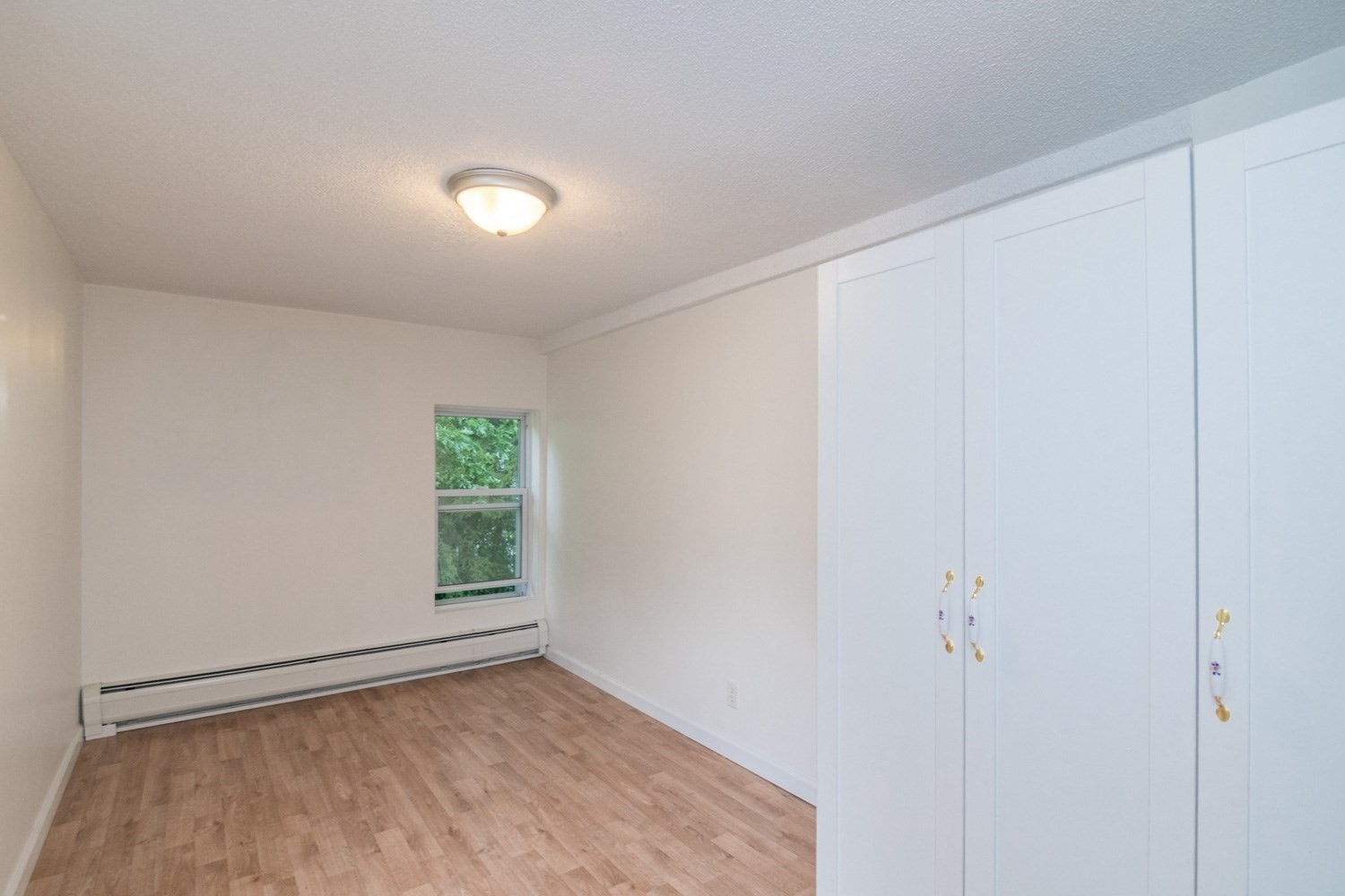 56 Warner St Property Photo 22