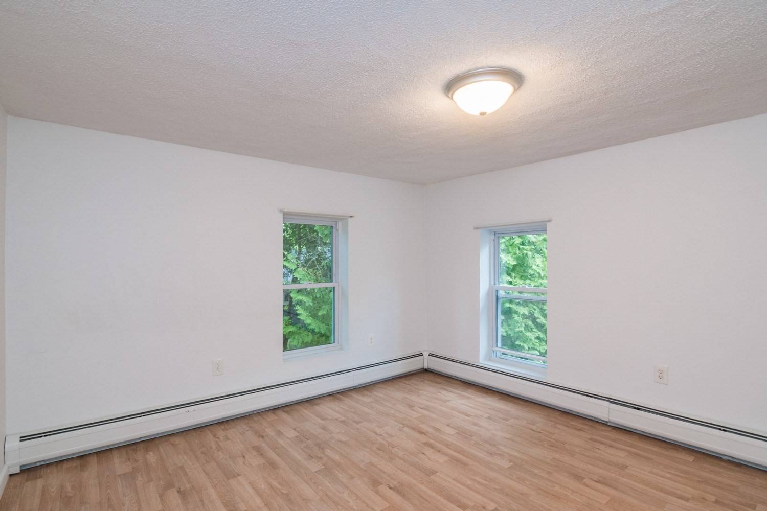 56 Warner St Property Photo 24