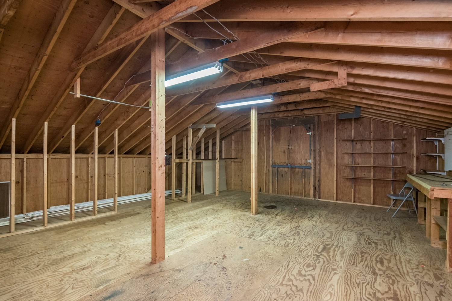 56 Warner St Property Photo 32