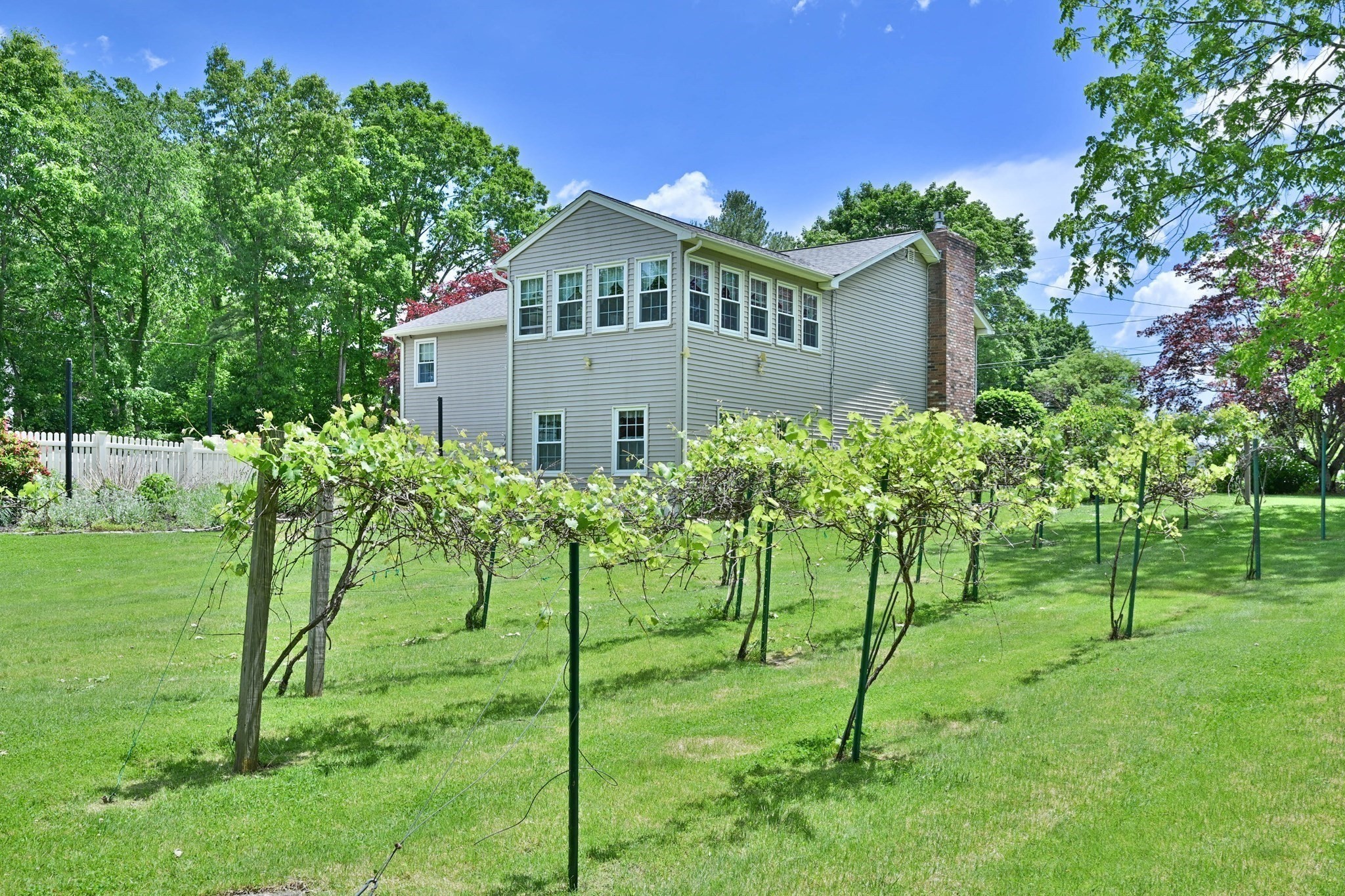 19 Sawmill Road Property Photo 7