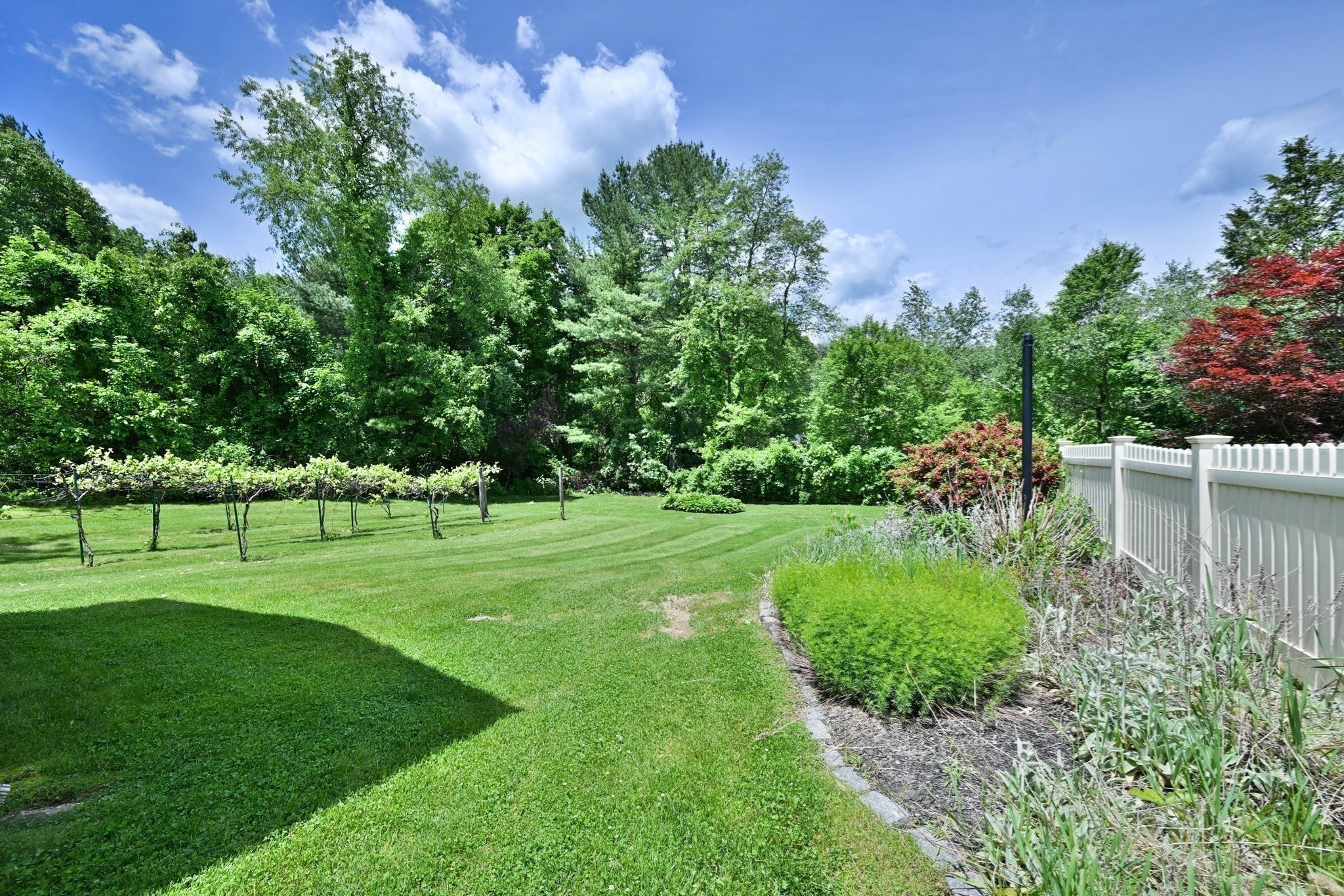 19 Sawmill Road Property Photo 13