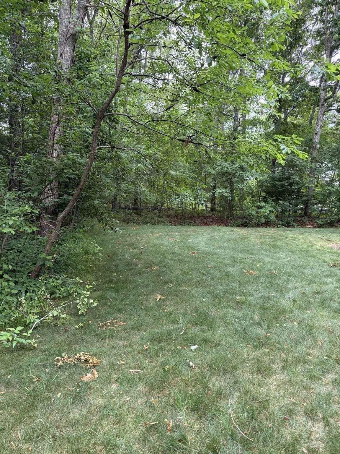 78 Jasper Rd Property Photo 10
