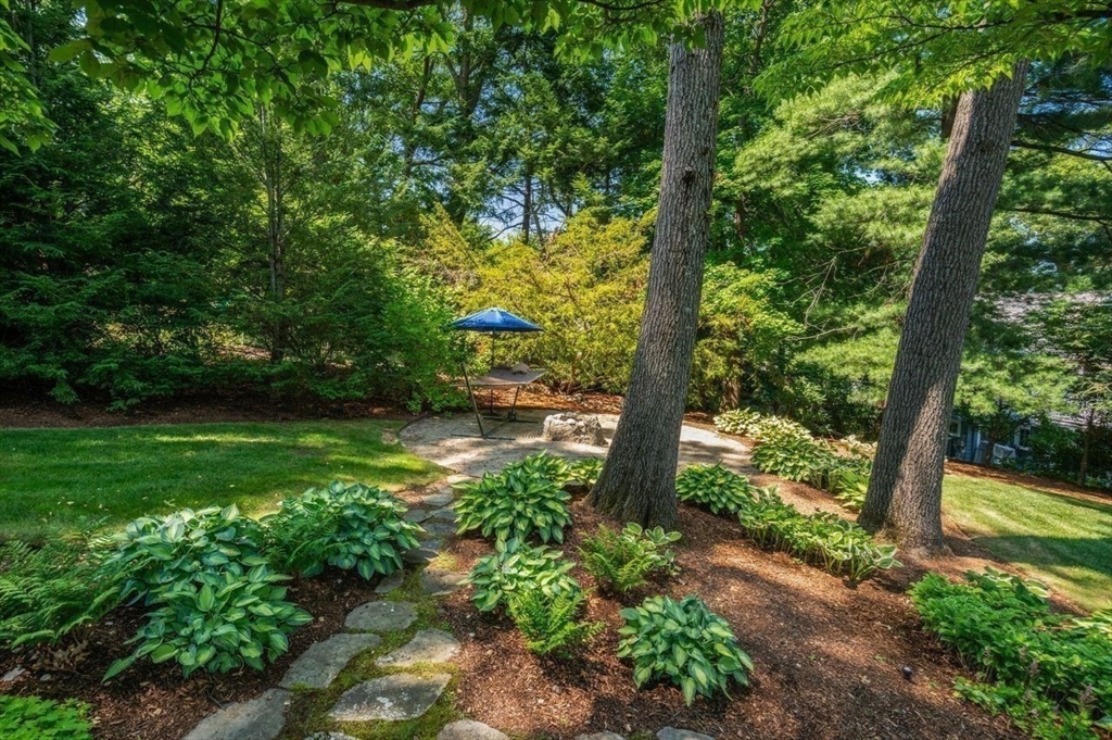 19 Druid Hill Rd Property Photo 32