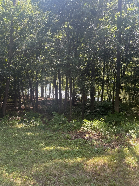 224 West Plain Street Property Photo 9