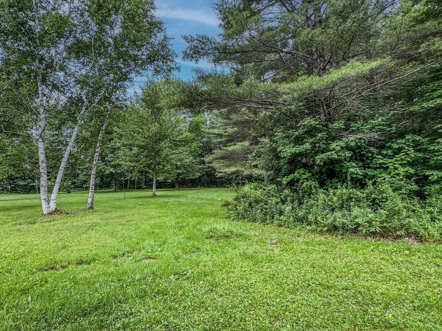 468 Tunnel Road Property Photo 12