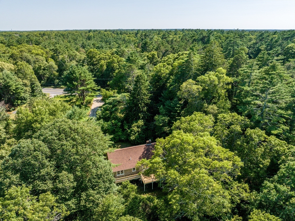 100 Farmersville Road Property Photo 3