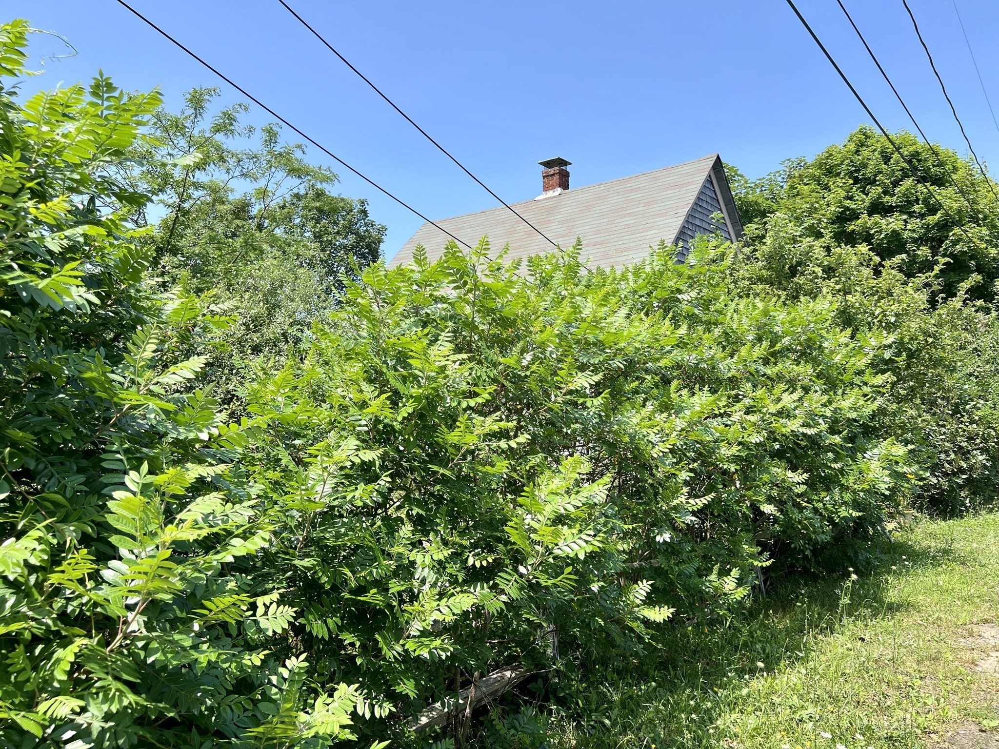 26 Winthrop Ave Property Photo 2