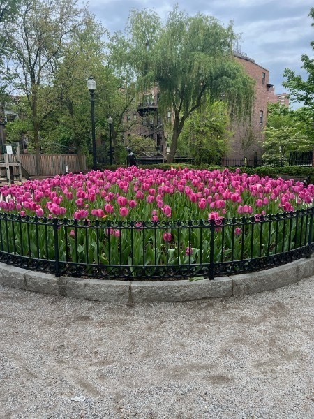 193 West Canton Street # 4 Property Photo 12