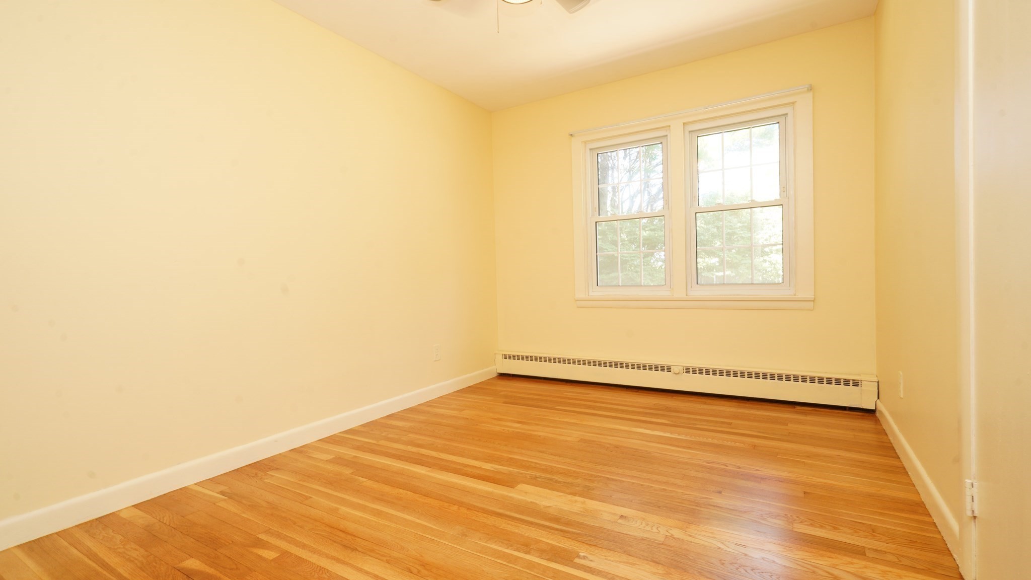 15 Phillips Street Property Photo 17
