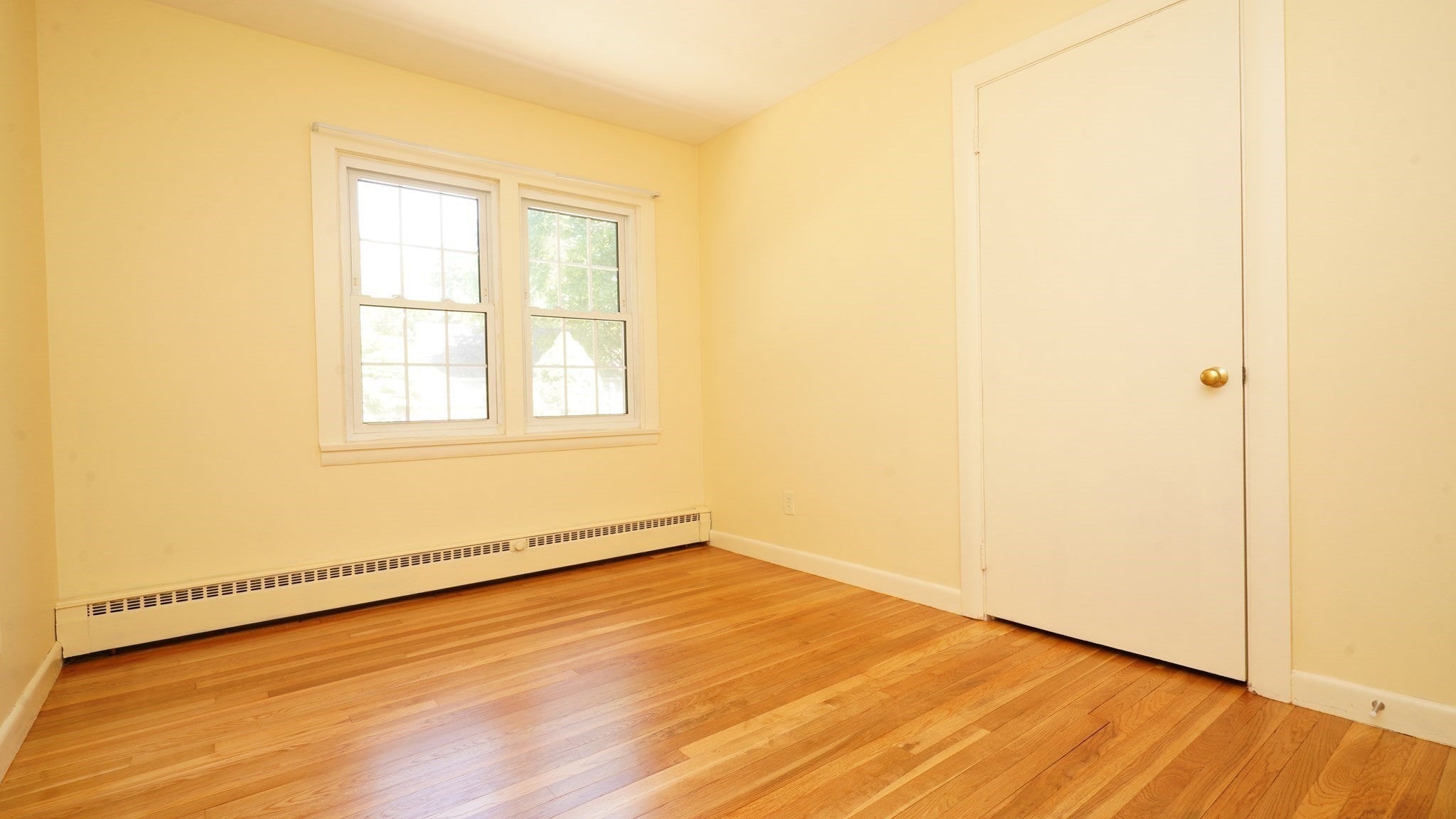 15 Phillips Street Property Photo 18