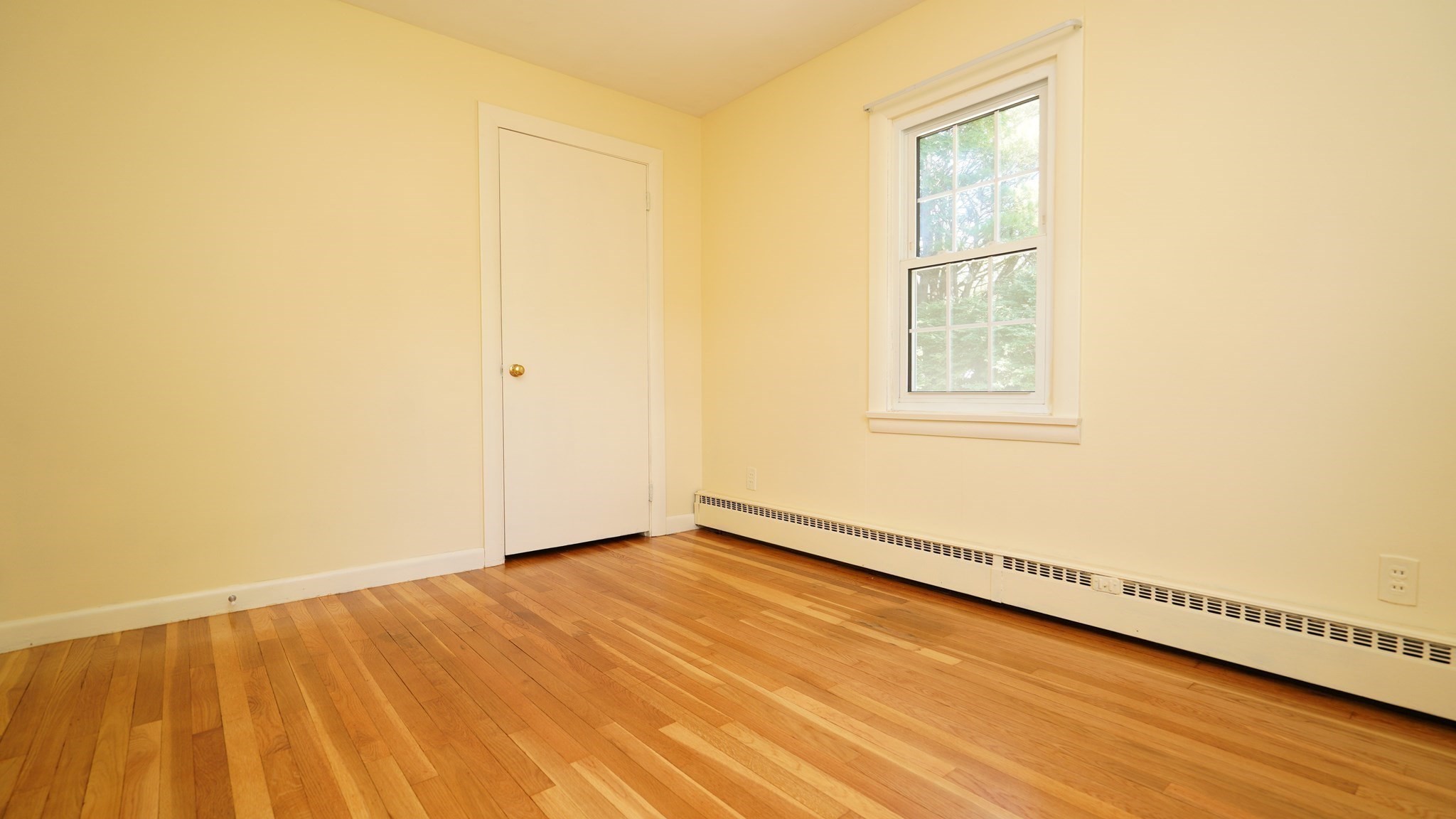 15 Phillips Street Property Photo 22