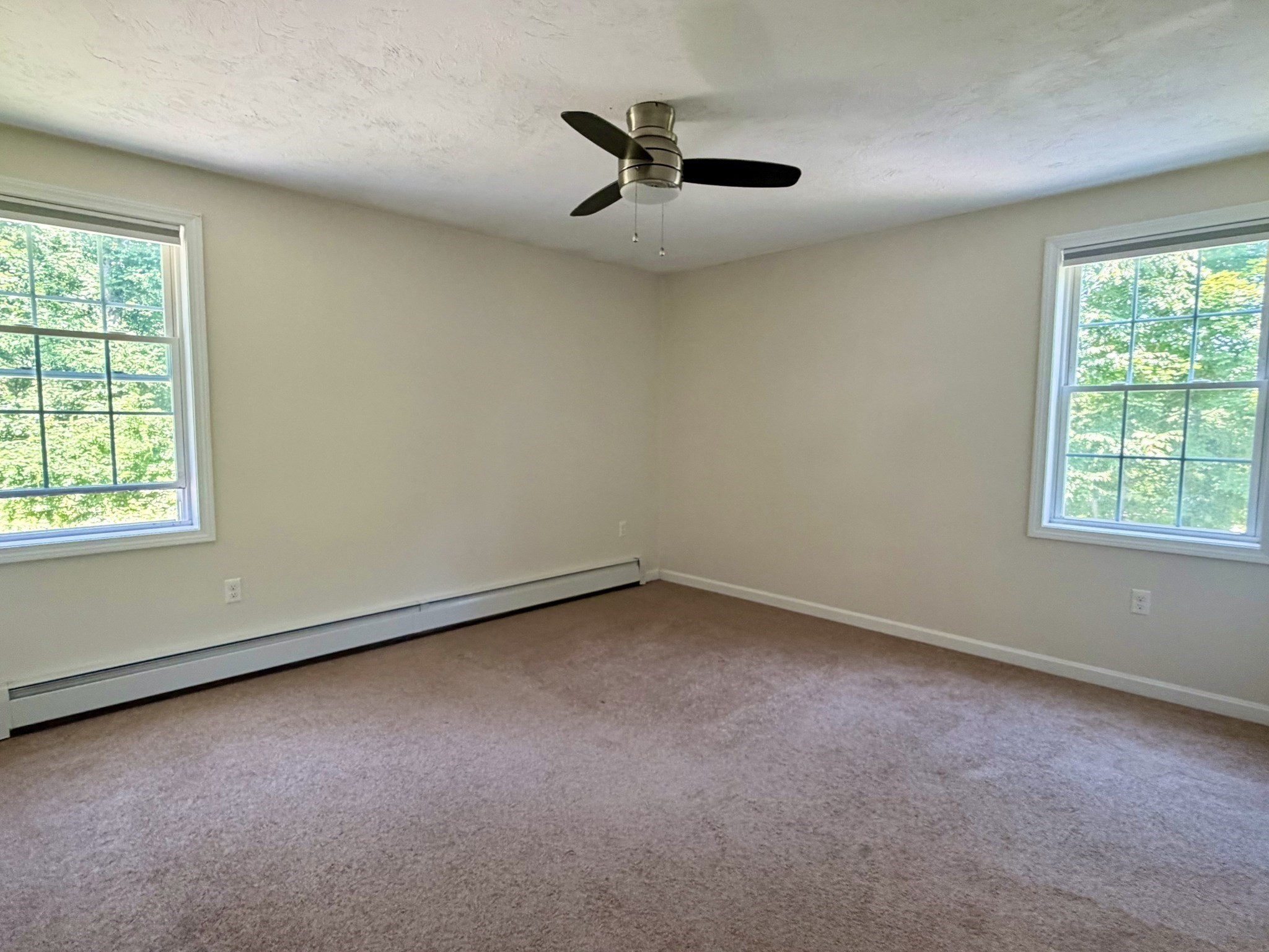 41 Collette Rd Property Photo 6