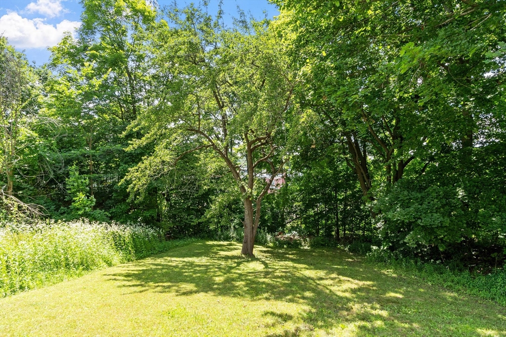 205 Pine St Property Photo 5