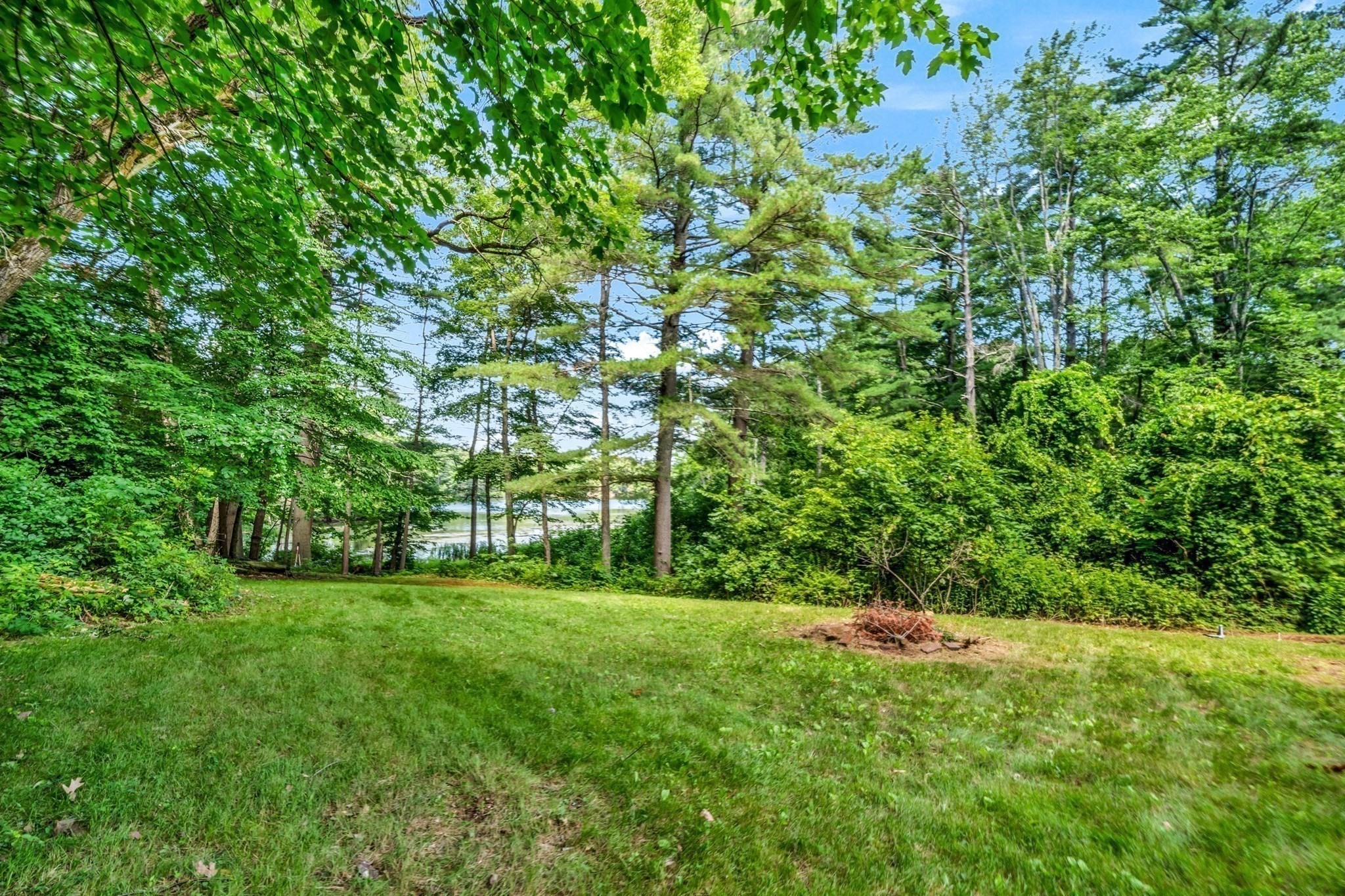 401 Petersham Road Property Photo 22