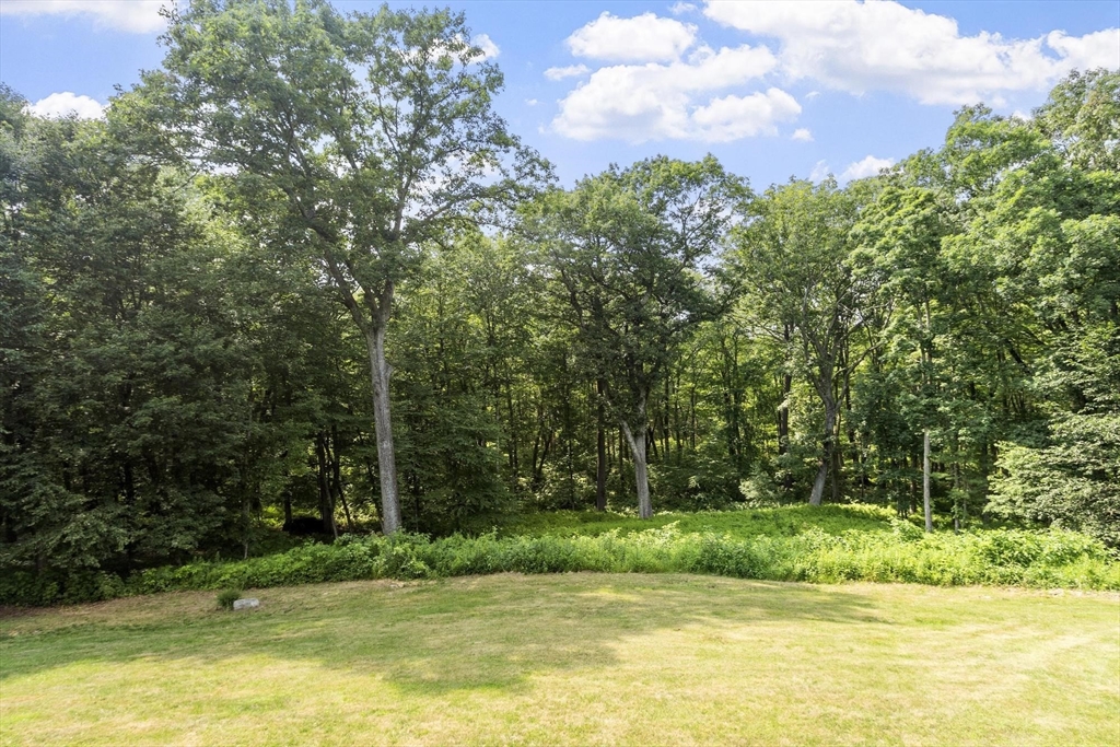 64 Woodside Rd Property Photo 23