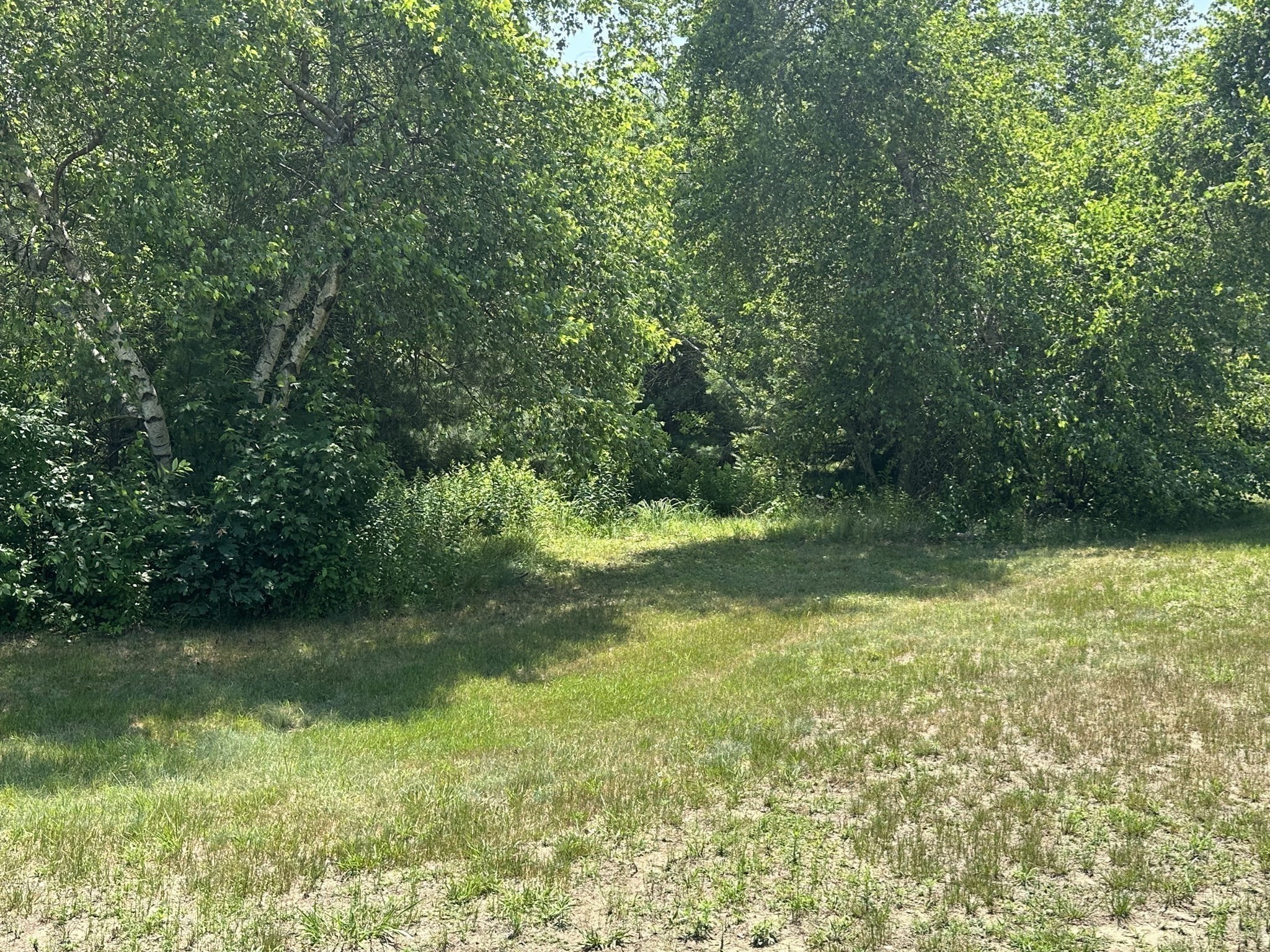 72 Stafford Road Property Photo 9