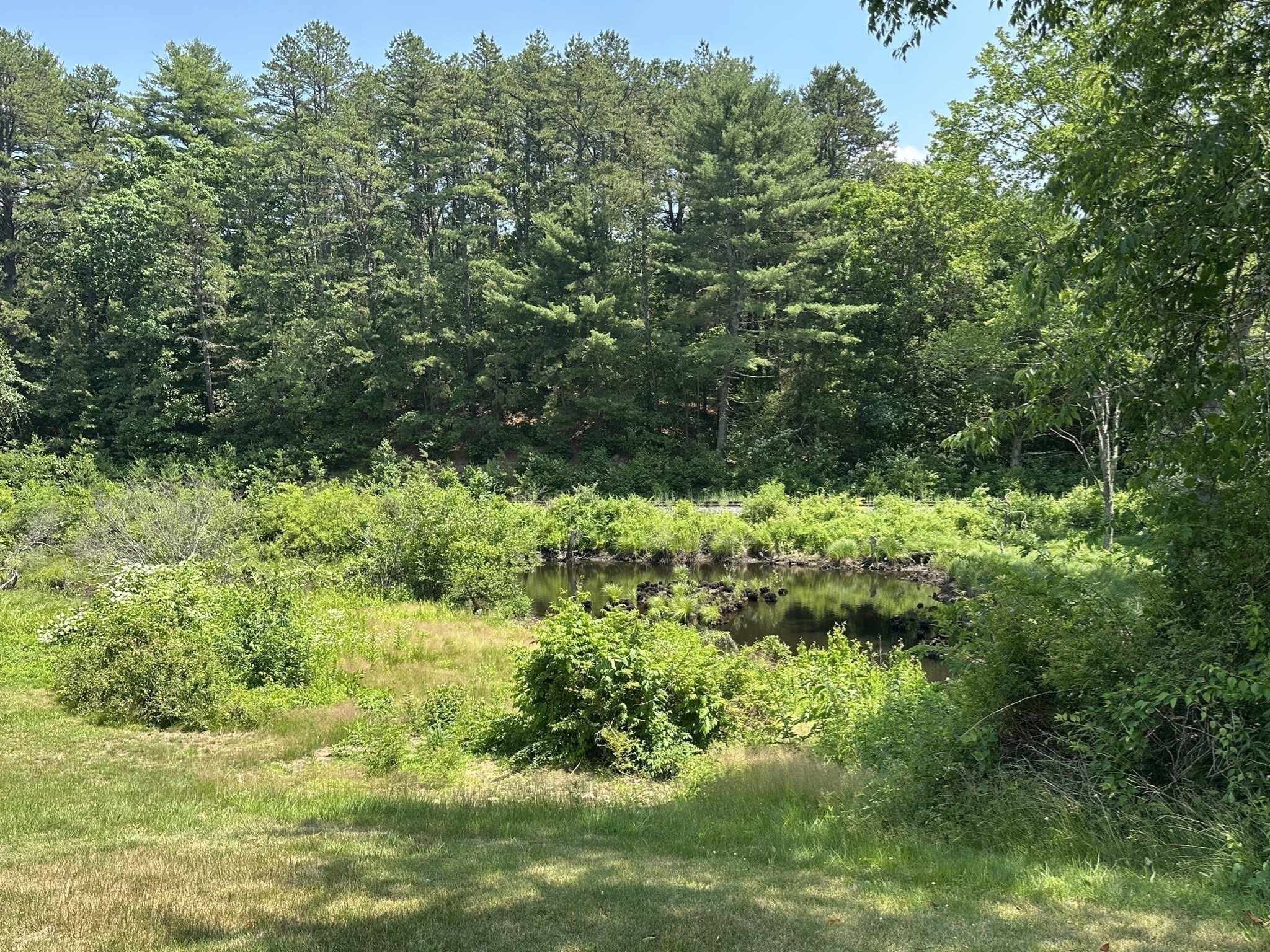 72 Stafford Road Property Photo 10