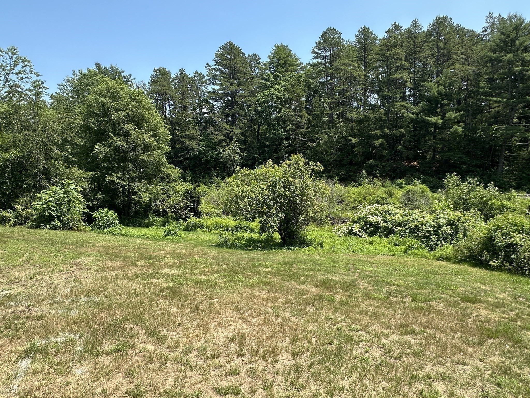 72 Stafford Road Property Photo 11