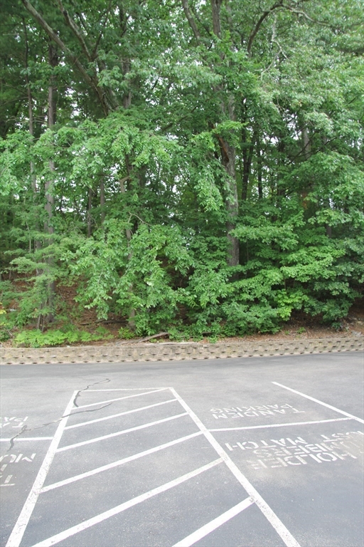 75 Nicholas Rd # G Property Photo 24