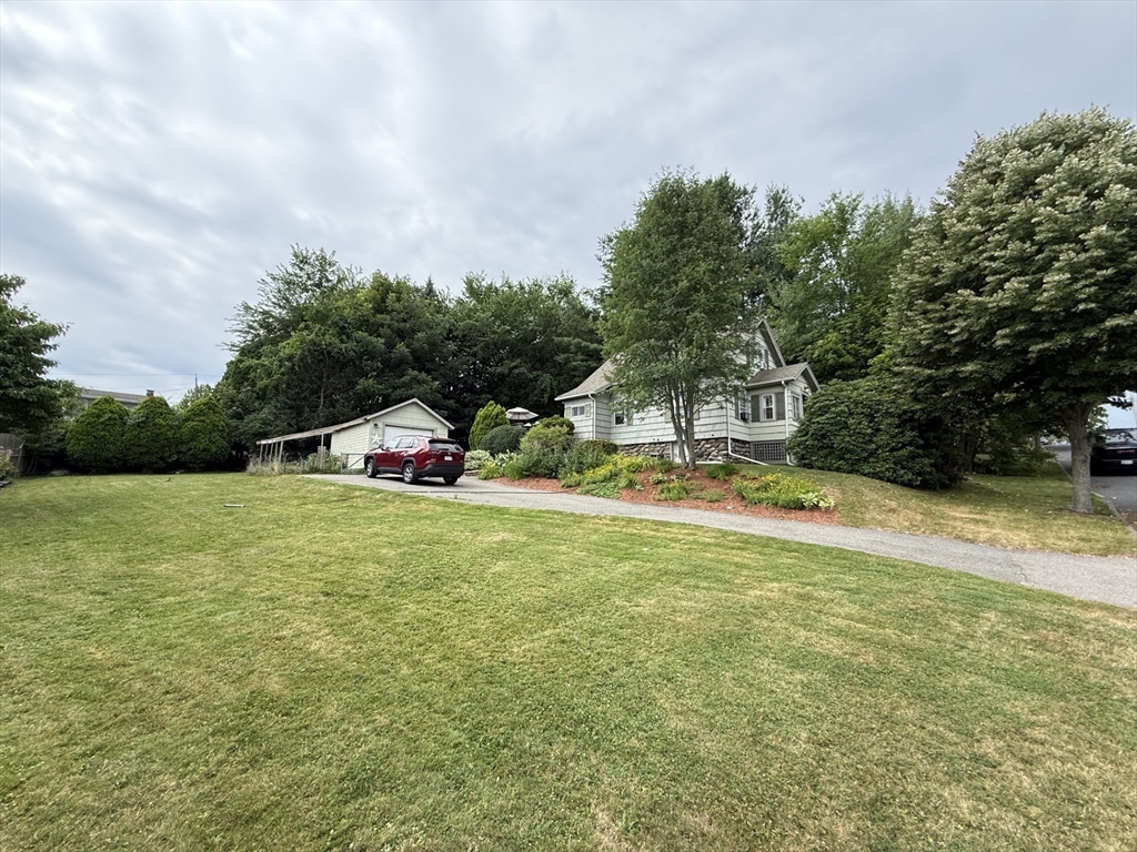 74 Wilkinson St