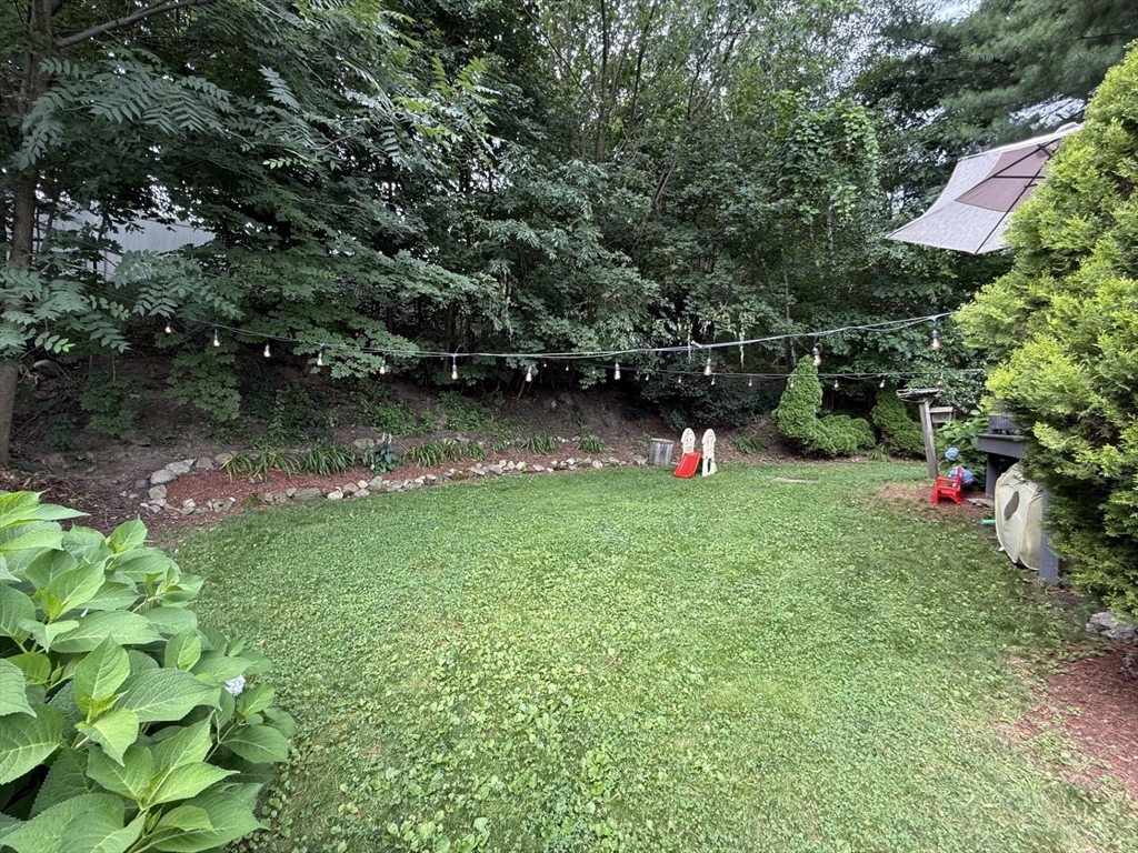 74 Wilkinson St Property Photo 6
