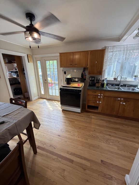 74 Wilkinson St Property Photo 13