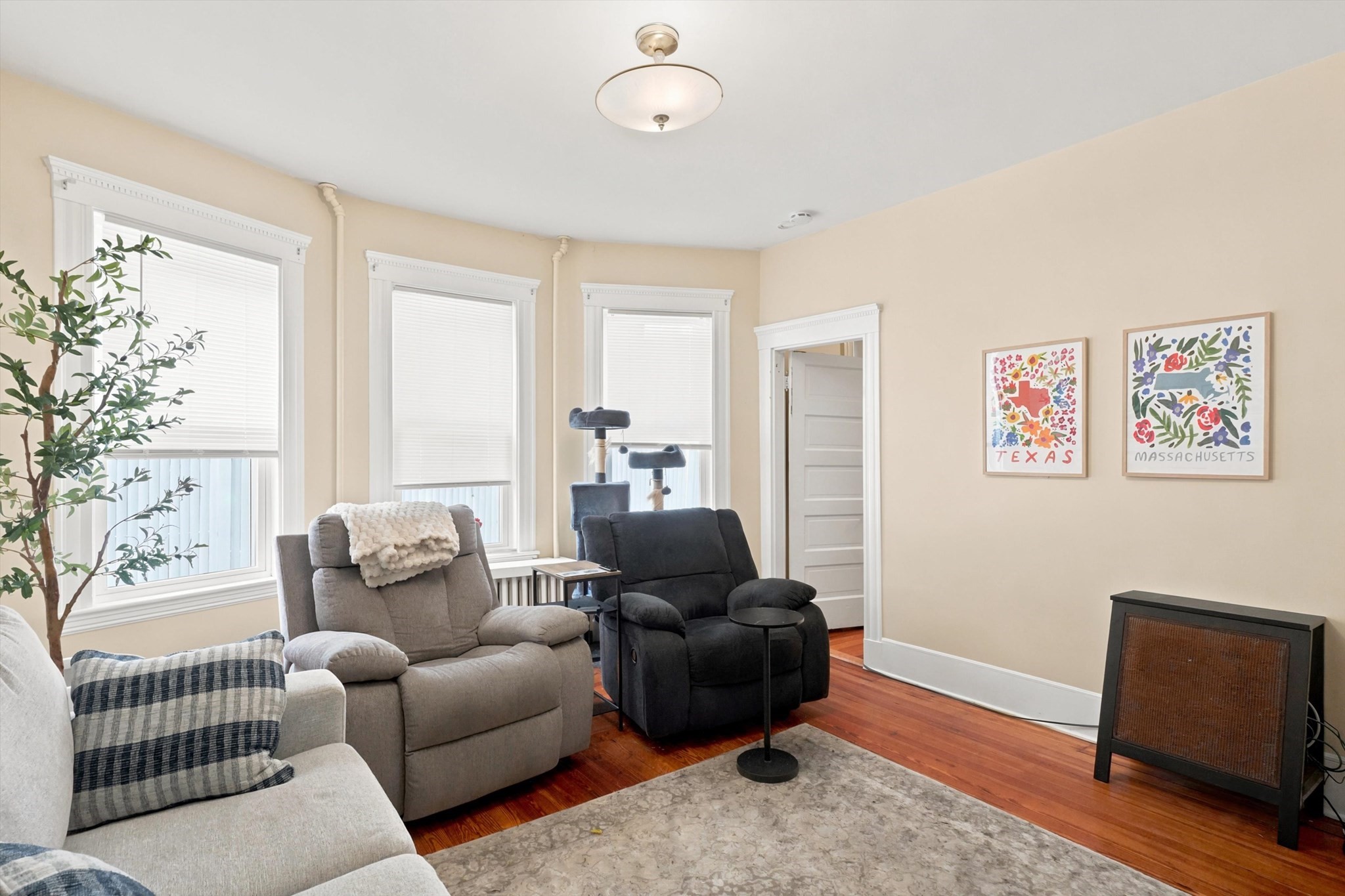 17 Dow St Property Photo 4