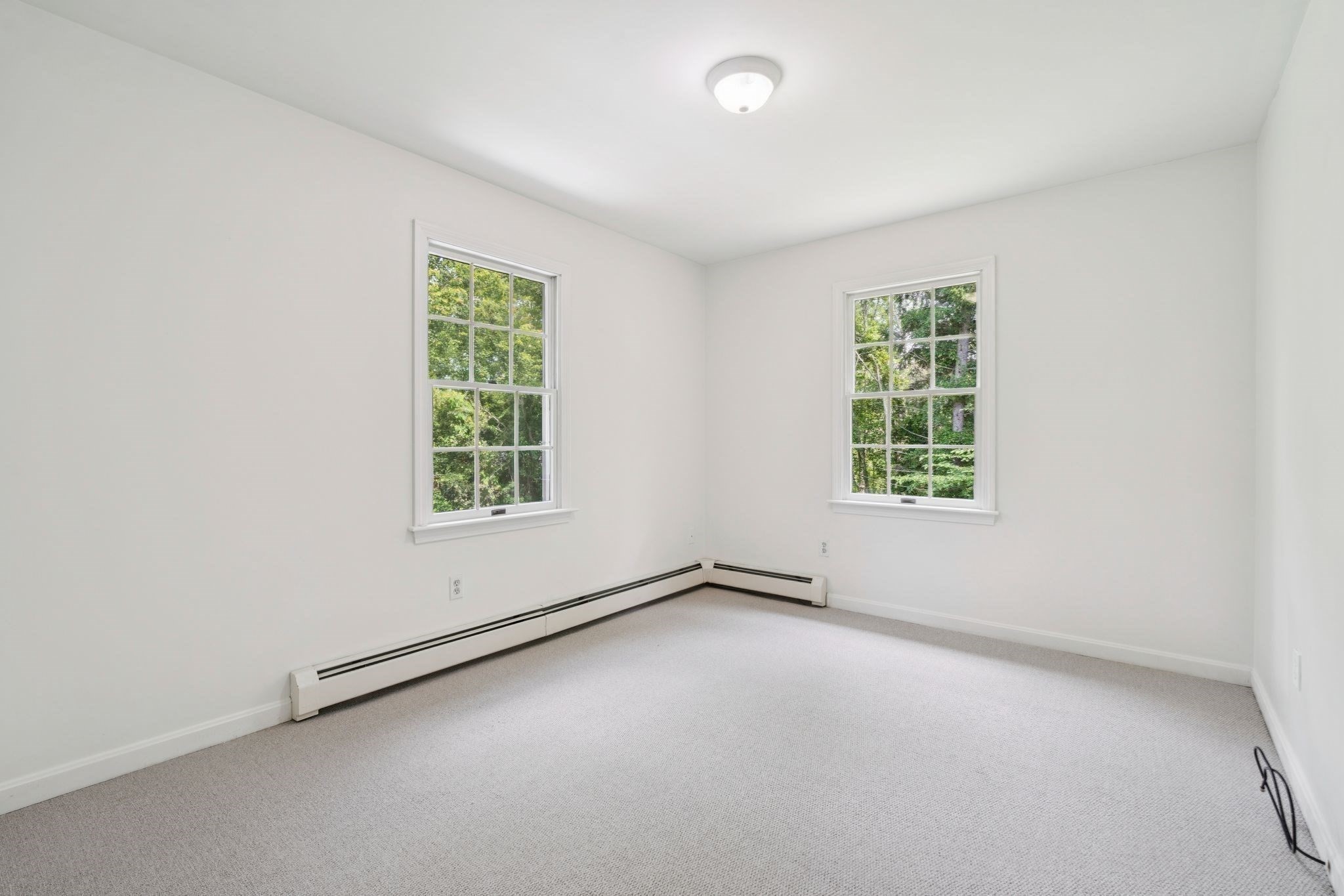 26 Foster Street Property Photo 15