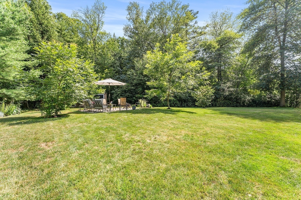 841 Union St Property Photo 29