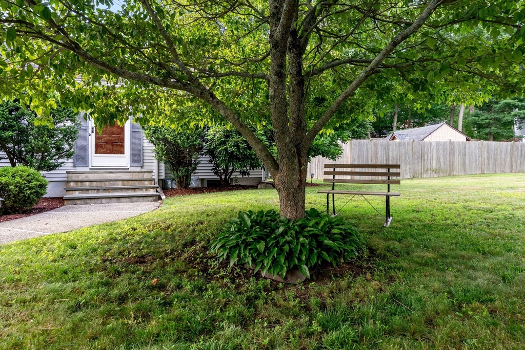 6 Chute Rd Property Photo 28
