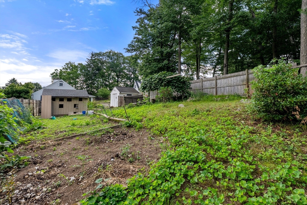 6 Chute Rd Property Photo 30