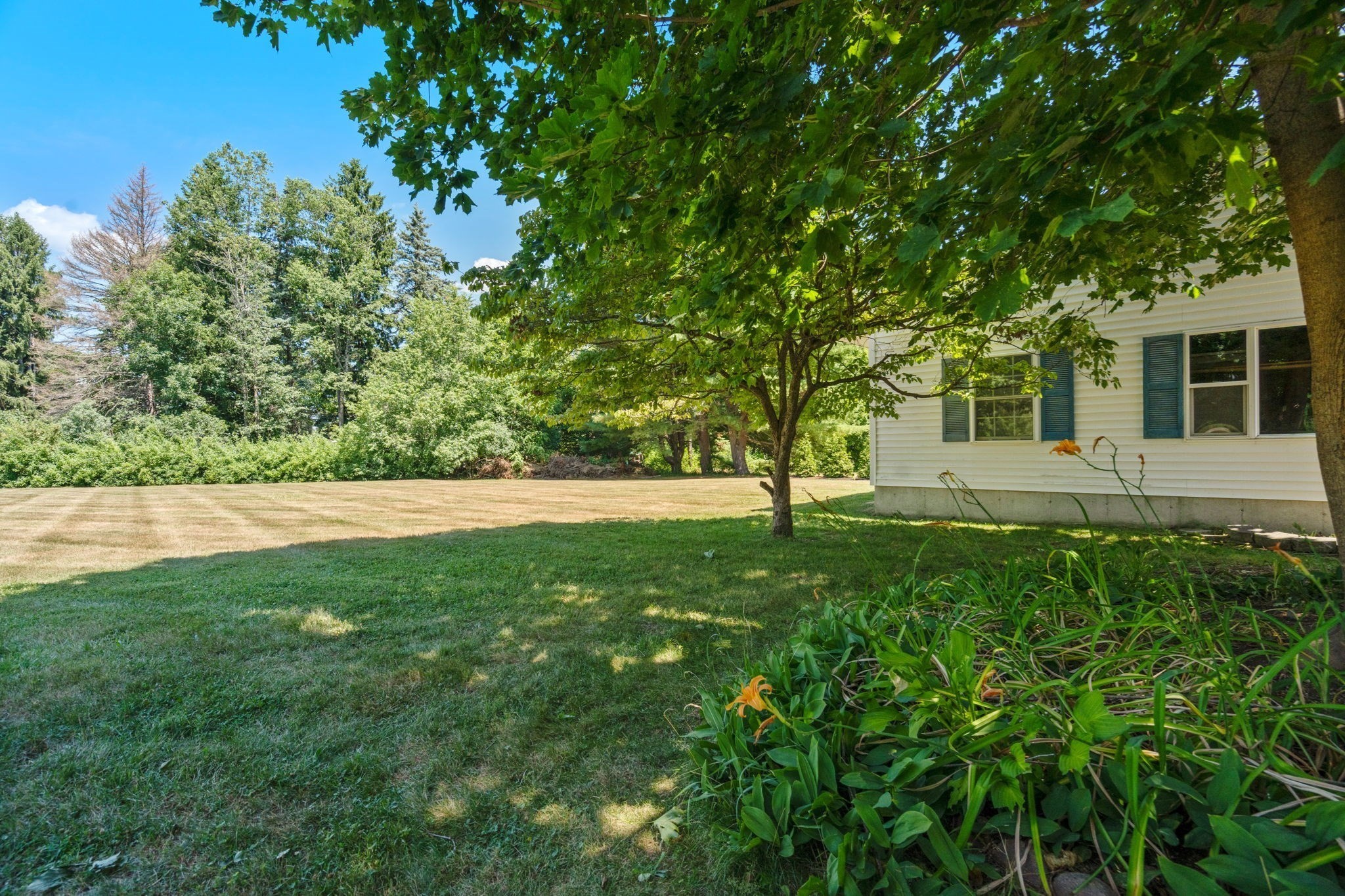 980 Randolph St Property Photo 22