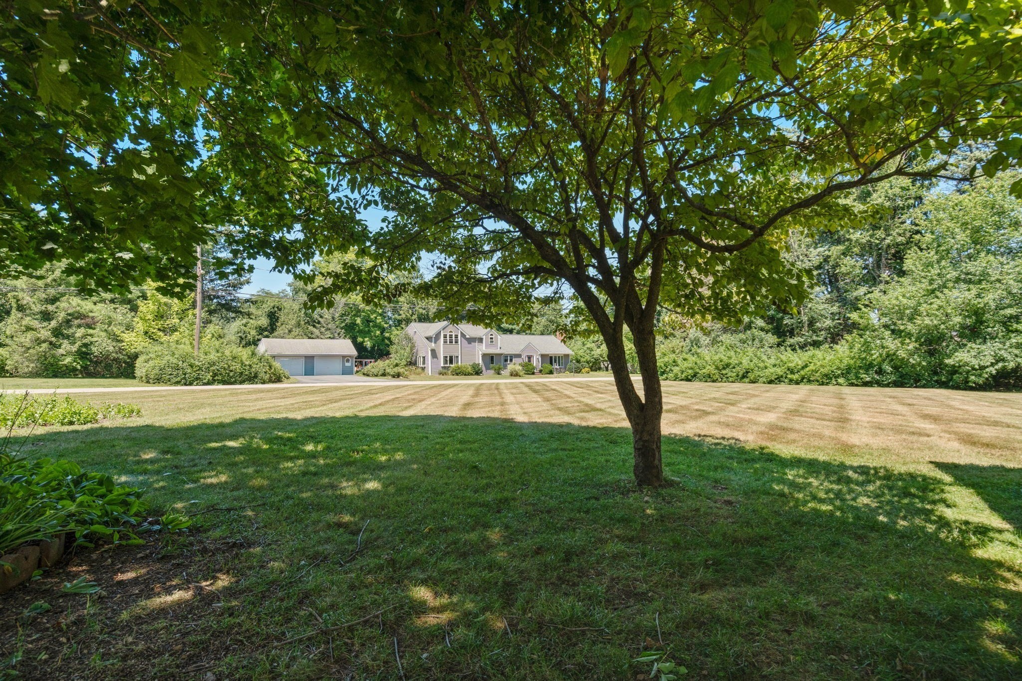 980 Randolph St Property Photo 23