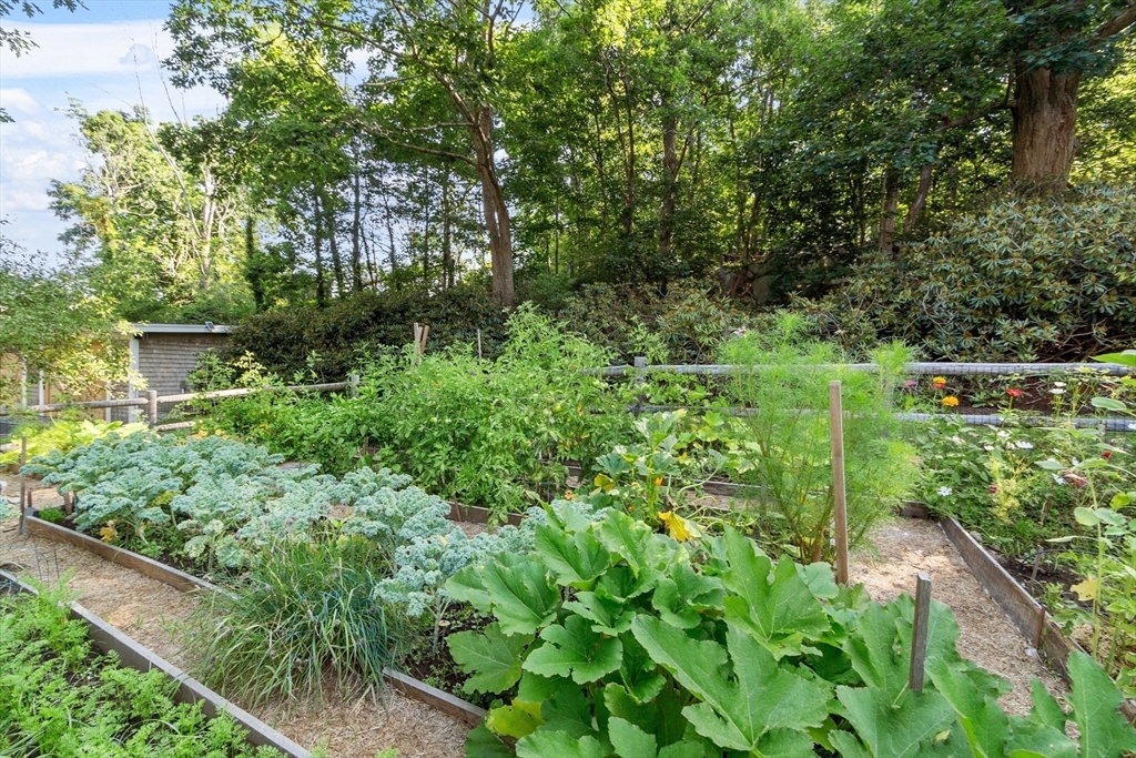 1255 Washington Street Property Photo 6