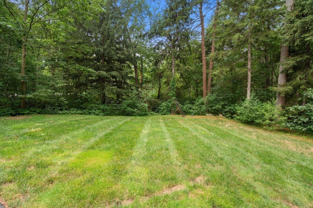 150 Dedham St Property Photo 37