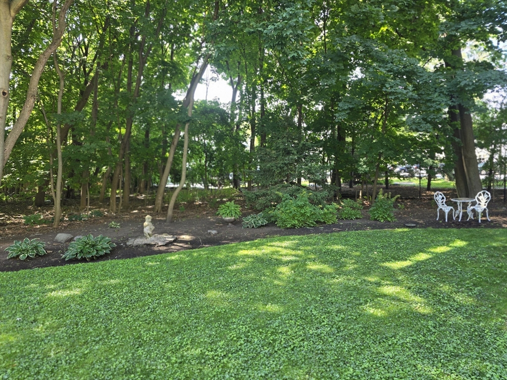 11 Woodbury Ct Property Photo 40