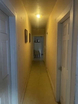 45 Brookford St Property Photo 10