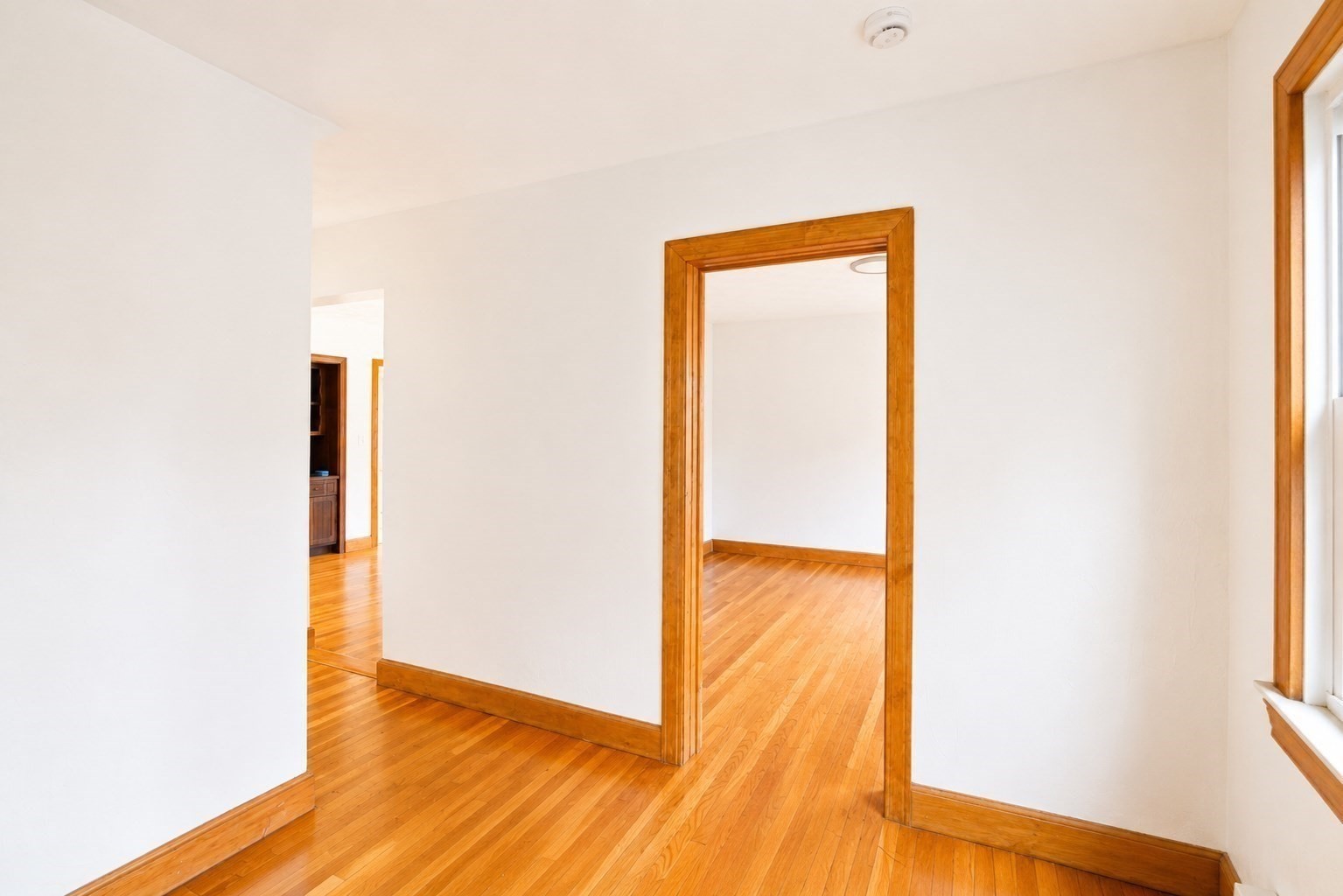53 Sycamore St # 1 Property Photo 13