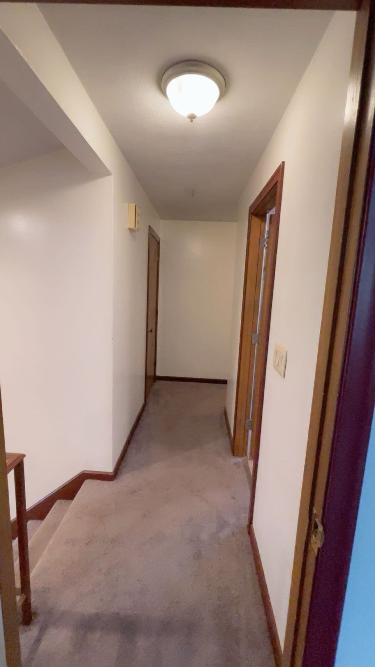 4 Baltic Ave Property Photo 18