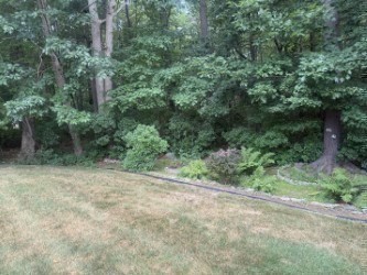 307 Blueberry Circle Property Photo 24