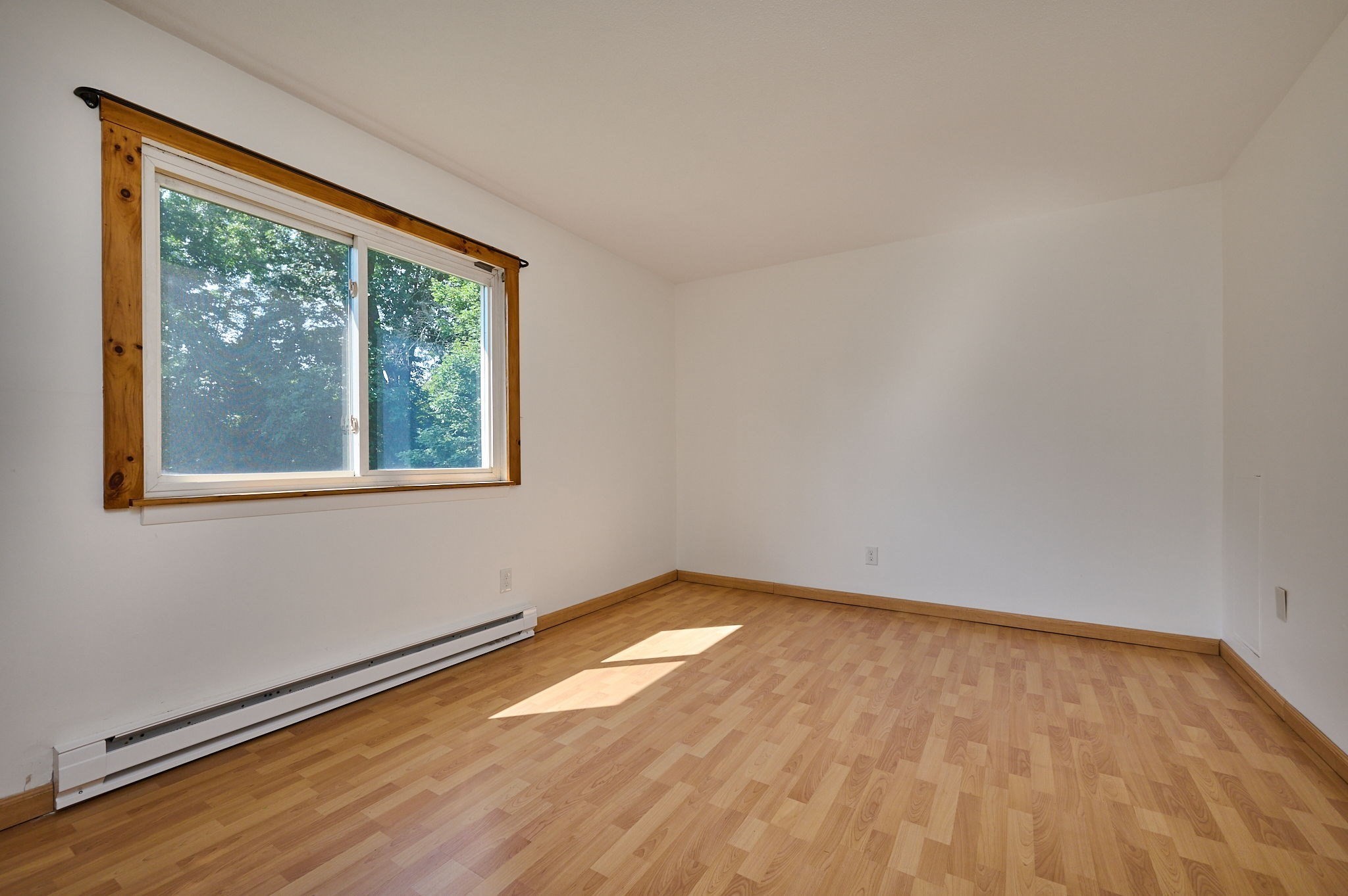170 East Hadley Rd # 65 Property Photo 12