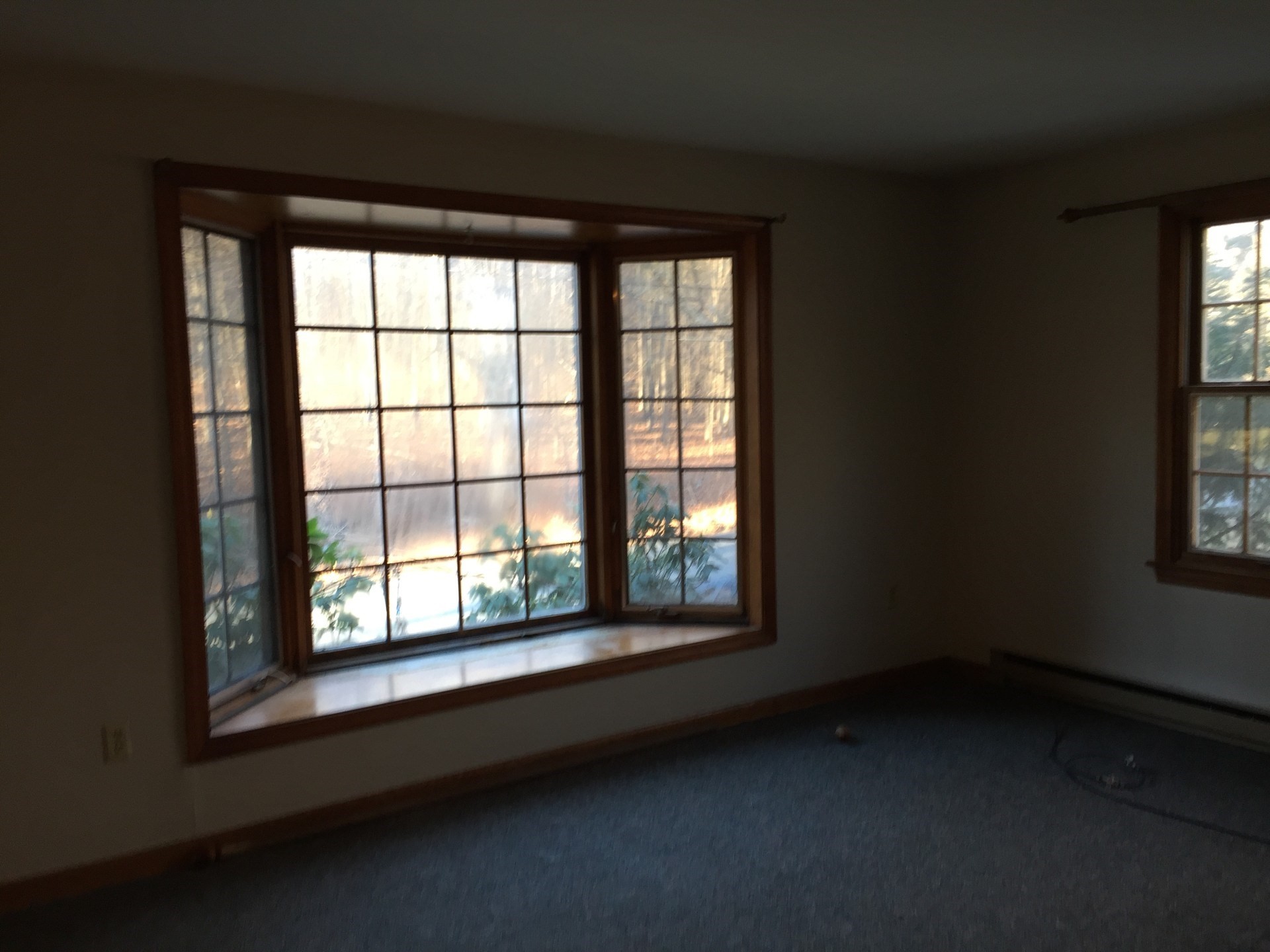 114 Parmenter Rd Property Photo 11