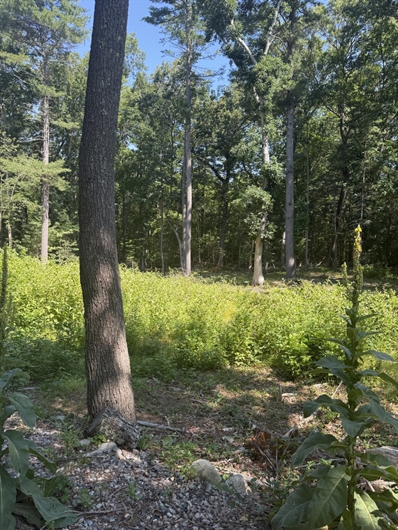 715 Washington St Property Photo 2