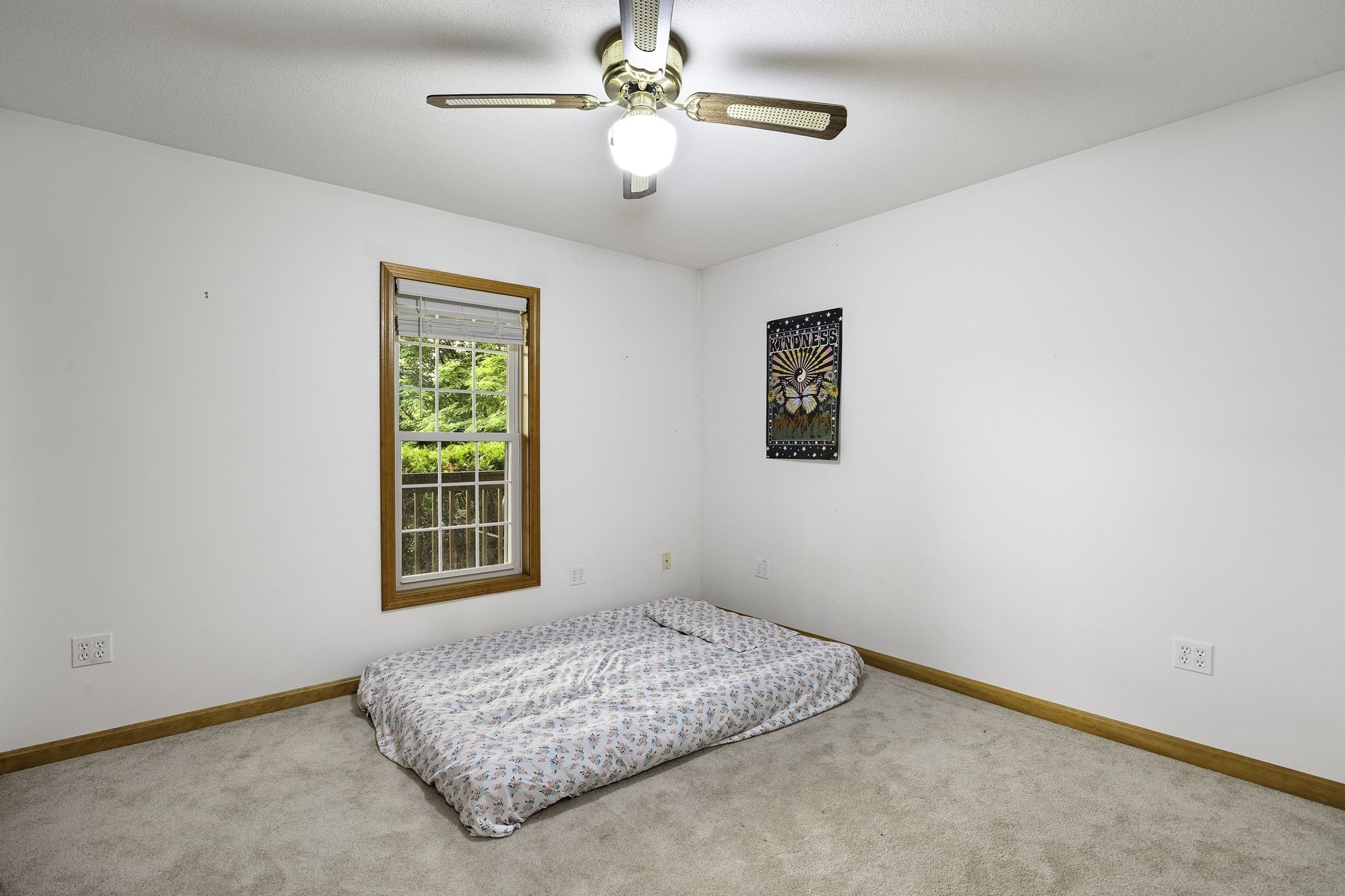 7 Margaret Dr Property Photo 19