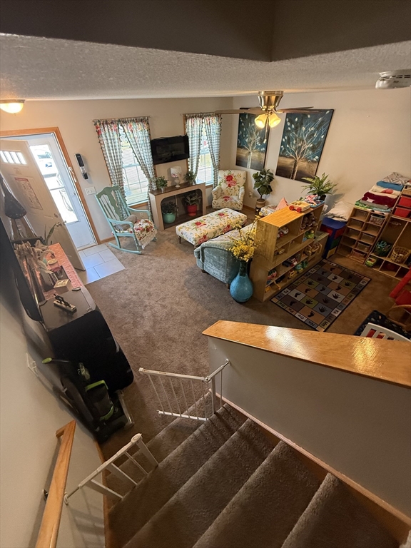 125-127 Laconia Street Property Photo 6
