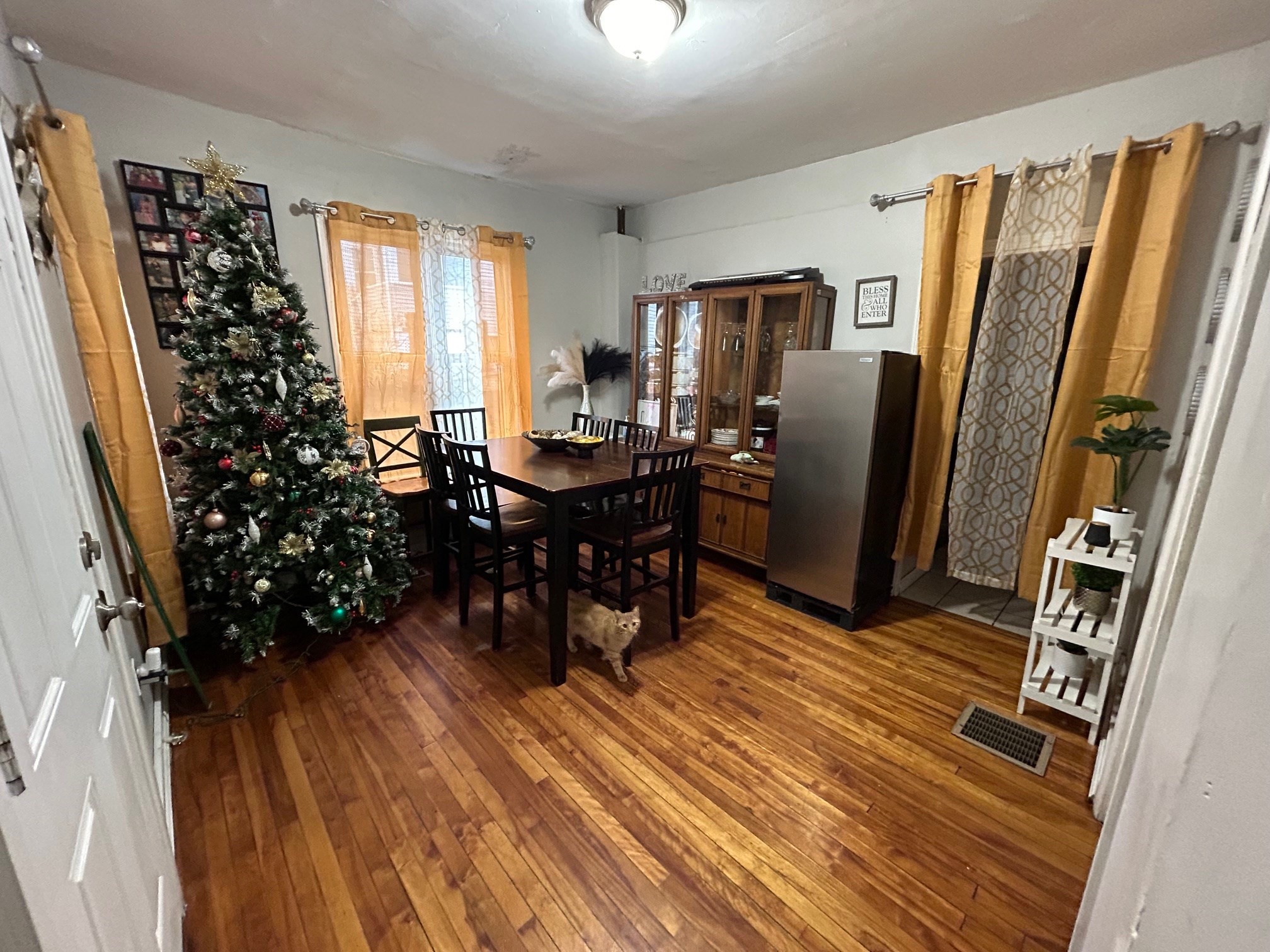 7 Bluff St Property Photo 4