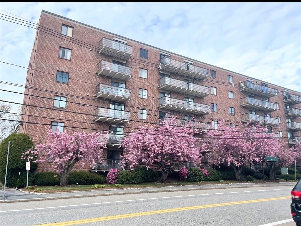 46 Cochituate Road # 201