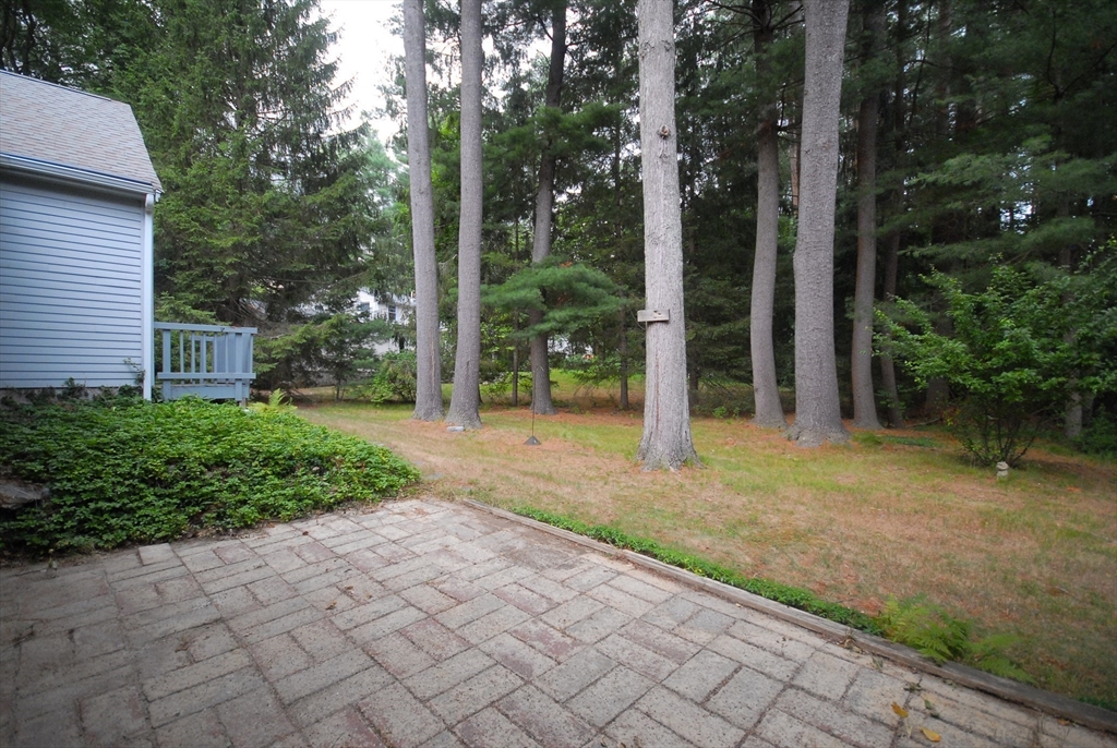 6 Hosmer Street Property Photo 29